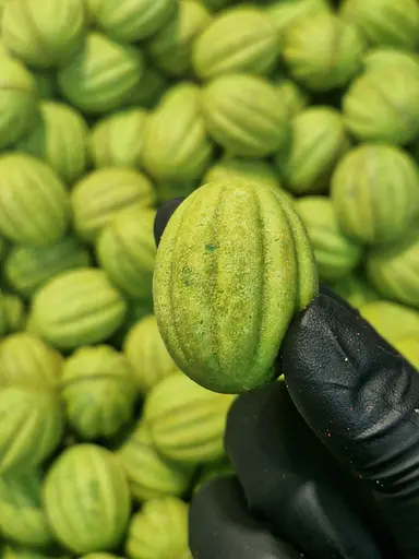 Набор Орешков Максимальный 12 шт. в упаковке - фото 13