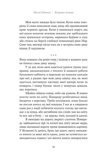 Яскраво палаю - фото 8