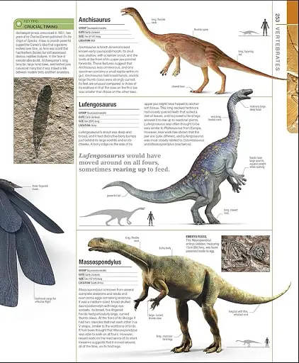 Dinosaurs and Prehistoric Life. The Definitive Visual Guide - фото 6