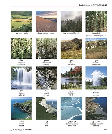 Arabic-English Visual Bilingual Dictionary with Free Audio APP - фото 12