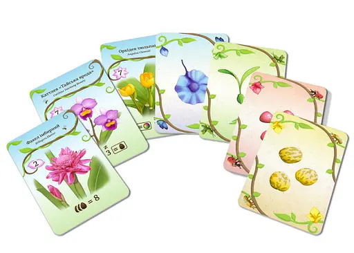 Настольная игра Woodcat УХ ТЫ. Орхидеи! (Oh my. Orchids!) (укр.) (ВР_ОО) - фото 3