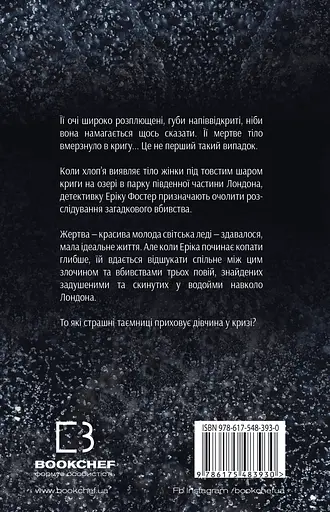 Девушка в кризисе - Роберт Бриндза - фото 2