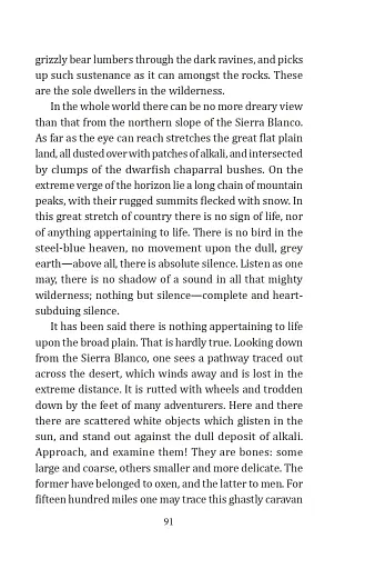 A Study in Scarlet - фото 10