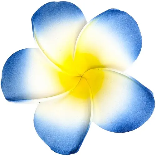 Заколка Гаваї - фото 1