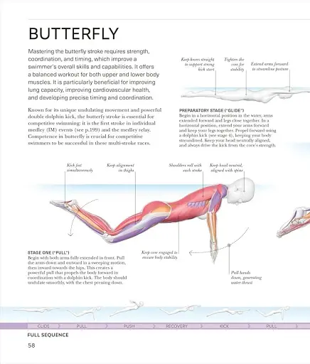 Science of Swimming. Transform Your Stroke, Improve Strength, Revolutionize Your Training - фото 7