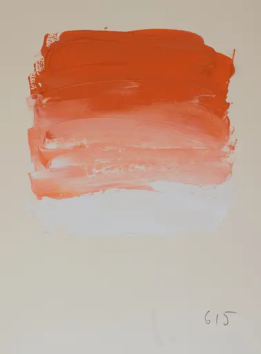 Масляная краска Rive gauche 40 мл, Кадмий красно-оранжевый оттенок (Cadmium Red Orange Hue) - фото 2