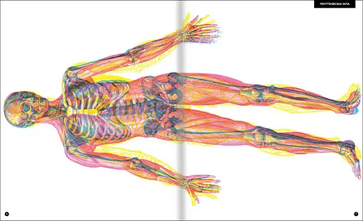 Прихований світ людського тіла. Автор Кейт Девіс - фото 4