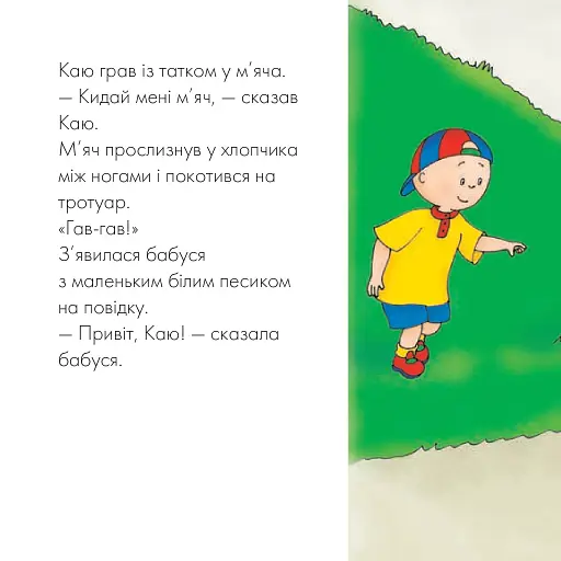 Каю гуляє зі своїм песиком. Мої історії - фото 4