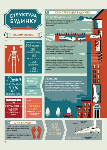 Крутезна інфографіка : Анатомія - фото 6