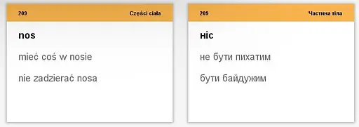 Настольная игра English Student Карточки для изучения разговорного польского языка English Student (укр.) (39122656) - фото 8