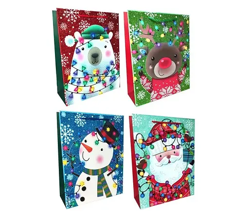 Пакет картонний, 200 г/м², 26x32x10 см, 6 шт., GB-24074 (В асортименті)