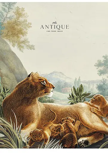 Комплект 3 шт общих тетрадей. Тетрадь Школярик А4 48 л. в линию 5079 4823088220681 - фото 2