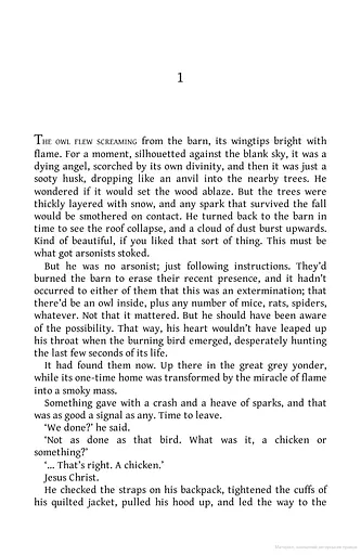 Joe Country. Slough House Thriller 6 - фото 2