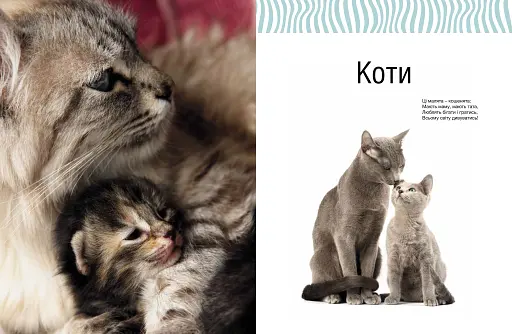 Малята звірята - фото 4