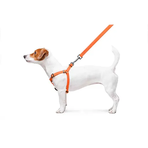 Шлея для собак водостійка Waudog Waterproof з QR-паспортом металічна пряжка-фастекс Ш 15 мм Д 40-55 см помаранчевий - фото 8