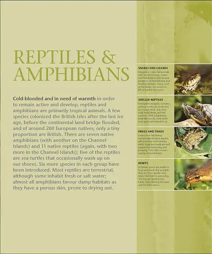 Wildlife of Britain and Ireland - фото 12