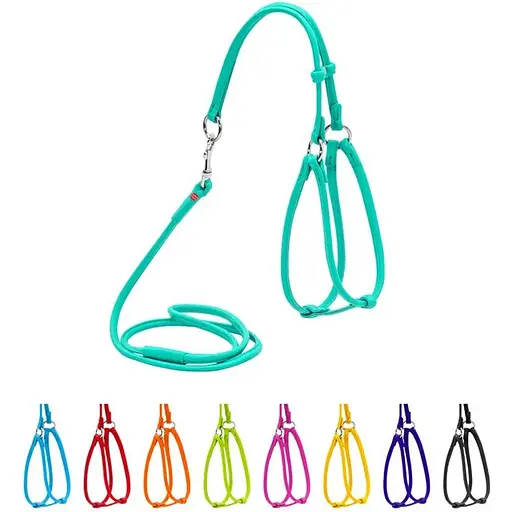 Шлея з повідцем для собак Waudog Glamour шкіряна з QR паспортом, кругла, ментоловий - фото 3