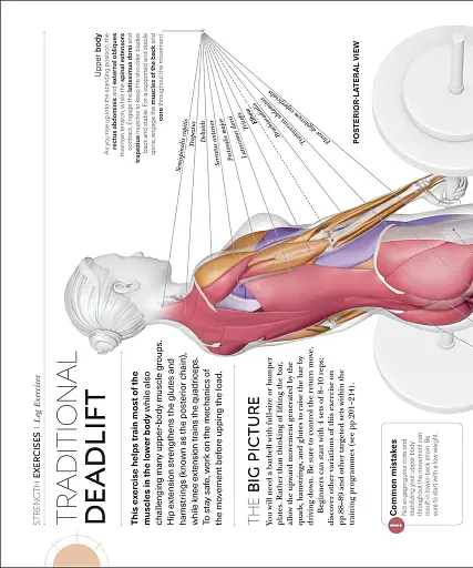 Science of Strength Training - фото 8