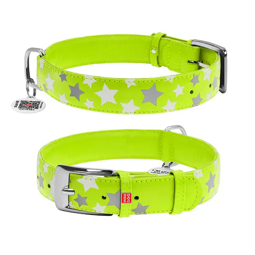 Нашийник для собак шкіряний Waudog Glamour з QR-паспортом візерунок "Зірочка" світлонакопичувальний/світловідбивний XL Ш 35