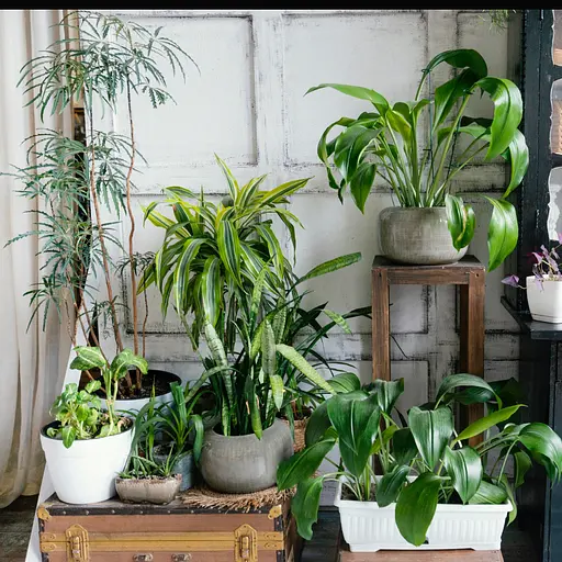 Торфосмесь универсальная COMPO Complete® 10 л - фото 10