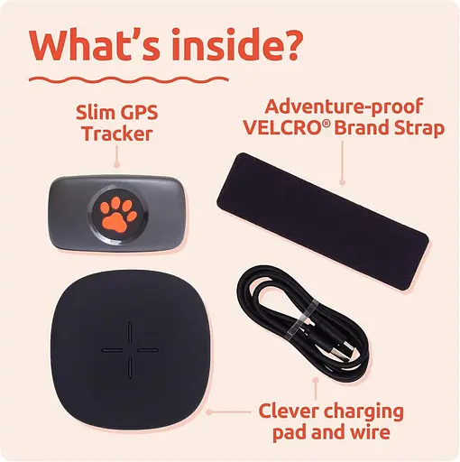 GPS-трекер для собак PitPat — подписка не требуется — Подходит для всех собак и всех ошейников — Умный трекер - фото 2