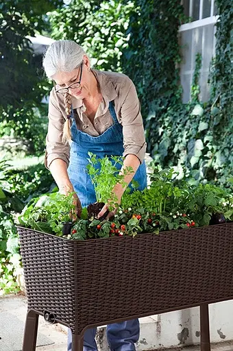 Грядка для рослин Keter Easy Grow коричнева - фото 6