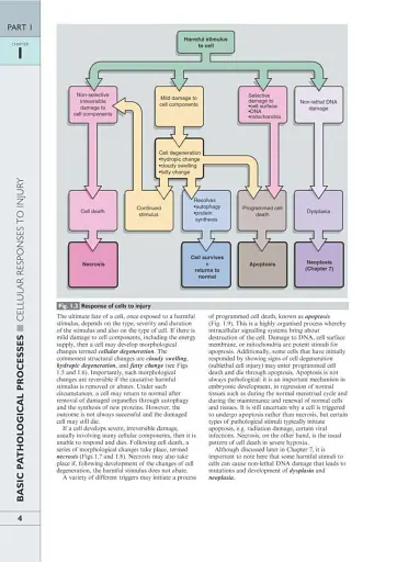 Wheater's Basic Pathology: A Text, Atlas, and Review of Histopathology. International Edition, 5th Edition - фото 7