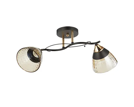 Люстра декоративная INTEREES V 6212-2 BK+FG