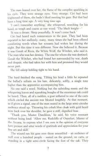 The Witcher. Blood of Elves - фото 6