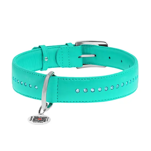Нашийник для собак шкіряний Waudog Glamour з QR-паспортом подвійний зі стразами M Ш 20 мм Д 30-39 см ментоловий - фото 3