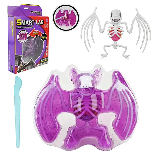 Ігровий лабораторний набір Кажан, 802B, скелет, внутрішні органи, інструмент