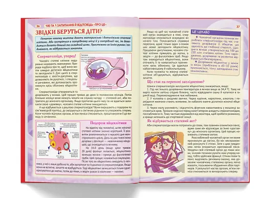 100 та 1 запитання й відповідь про це. Все про що підлітки соромляться говорити з дорослими - фото 6