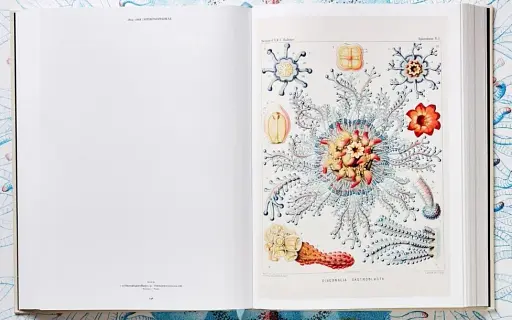 The Art and Science of Ernst Haeckel - фото 7