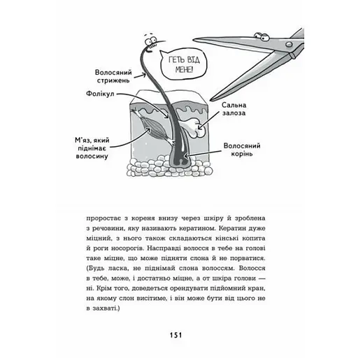 Энциклопедия дошкольника "Анатомия для детей" 154101 - фото 5