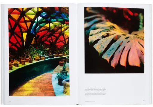 The Avant Gardens - фото 8