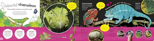 The Incredible Fold-Out Book of Animals - фото 4