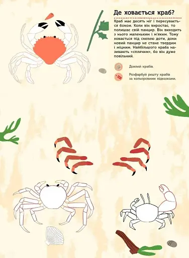 Моя книга природи: На березі моря - фото 3