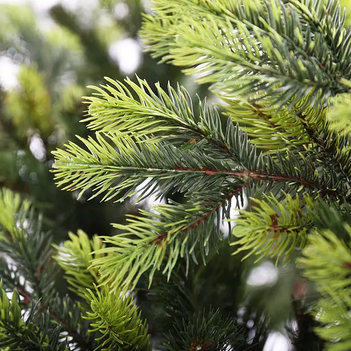 Ялинка Yes! Fun Ауреа лита зі світлими кінчиками 1.8 м (904272) - фото 5