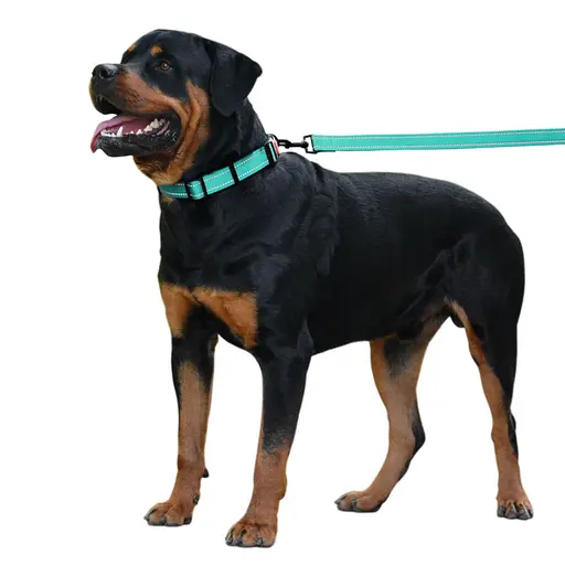 Поводок для собак Barksi Active 152х2.5 см ментоловый - фото 7
