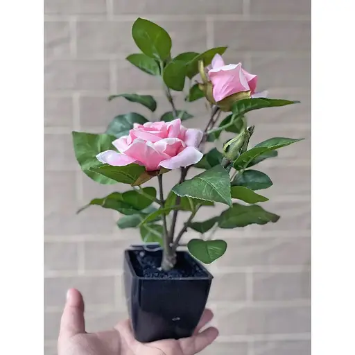 Троянда штучна Hvoya кущ в горщику 29 см рожева - фото 5