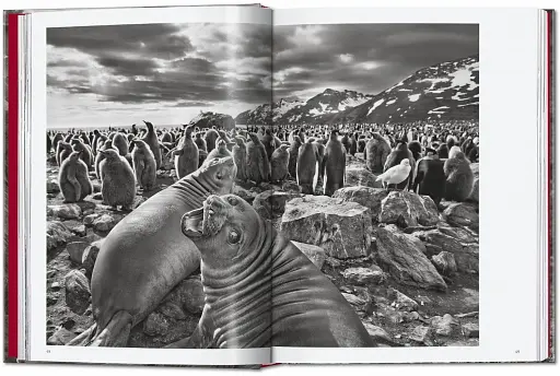 Sebastiao Salgado. Genesis. 45th Edition - фото 4
