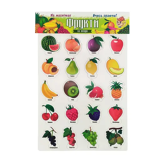 Набор магнитов на листе "Фрукты и ягоды" Artos 1250ATS Укр. 20 шт. - фото 1
