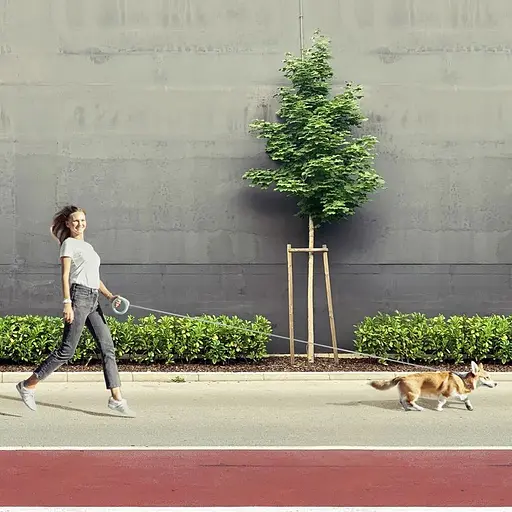 Поводок-рулетка для собак Waudog R-leash, круглая, XS-M, до 40 кг, 2,9 м, светоотражающая лента салатовая - фото 8