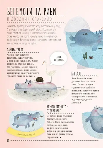 Несподівана дружба у природі - фото 6