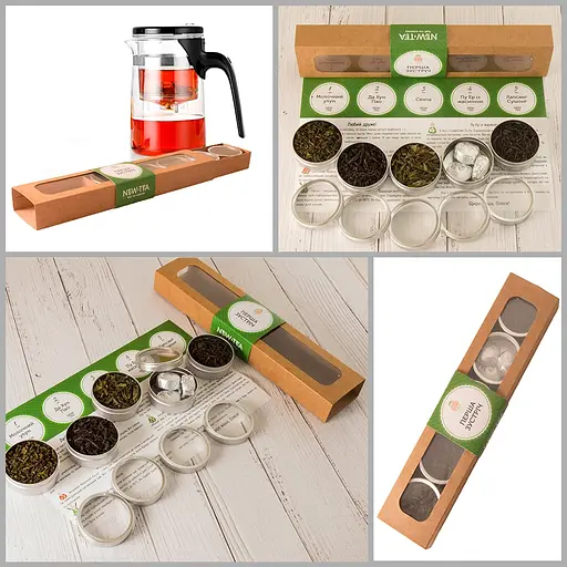 Первая встреча Newtea - фото 3