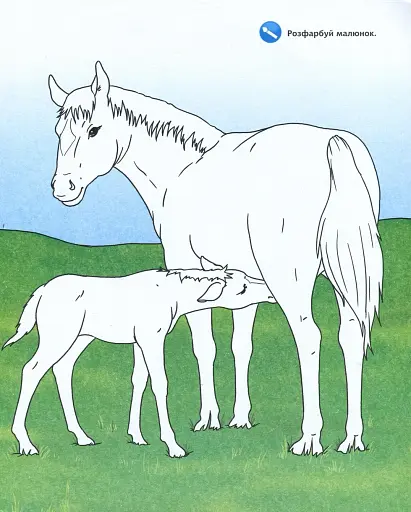 Чому? Чого? Навіщо? Малята тварин : Інтерактивна книжка для дітей віком від 4 до 7 років - фото 3