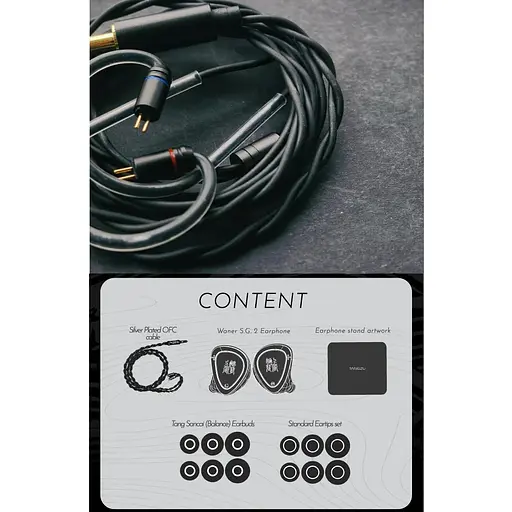 Дротові IEM навушники Tangzu Waner SG 2 with MIC Type-C (Чорний) - фото 4