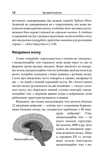 Зрозуміти мозок. Нейронаукові дослідження механізмів роботи мозку і його викрутасів - фото 14