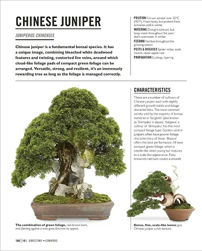 Grow Bonsai - фото 9