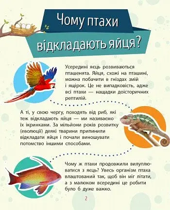 Чомусики. Тварини - фото 2